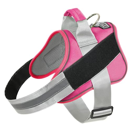 Dog Harness No (Medium (Pack of 1) / Fuchsia)