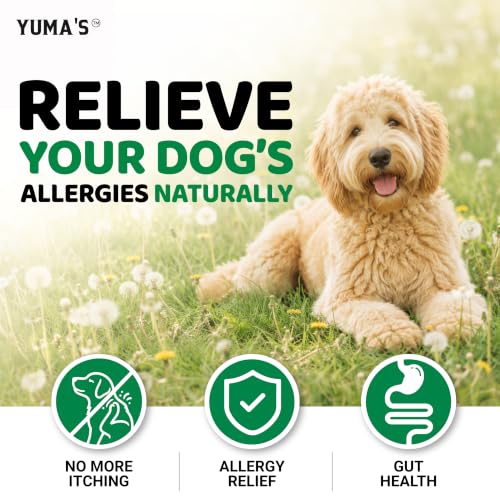 Dog Allergy Relief Chews (170 Chews)