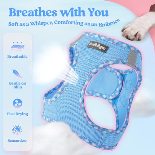 Dog Harness Medium Sized and Leash Set (Blue & Plaid Trim / L (chest: 18.2 - 20.5"))