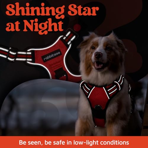Dog Harness for Large (Red / X-Large)