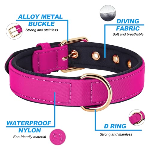 Soft Padded Dog Collars for Small Dogs (Rose Purple / M: Fit 11-15" Neck)