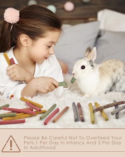 72 PCS Rabbit Chew Sticks