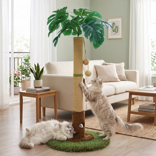 35" inch Cat Scratching Post (35.34-Brown / 35.4in)