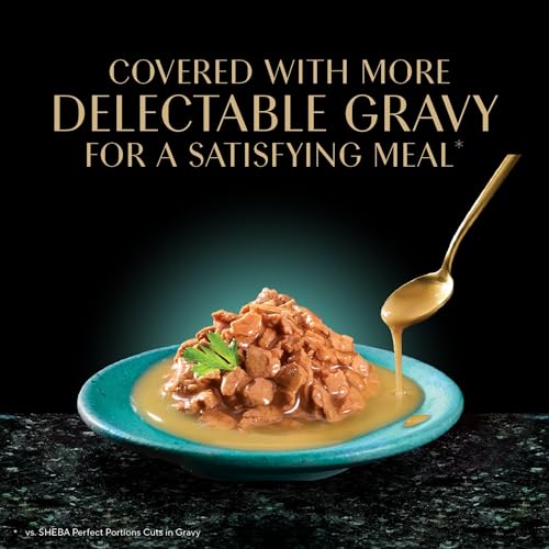 Gravy Indulgence Wet Cat Food (24 Count (Pack of 1))