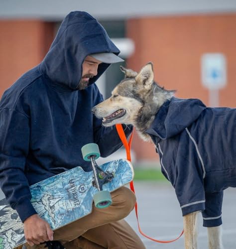 Essentials Soft & Comfy Better Basic Cotton Blend Dog Hoodie Sweatshirt in Midnight Blue (16 inch (Pack of 1) / Dog Hoodie - Midnight Blue)