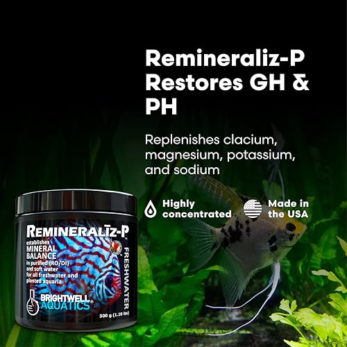 Remineraliz P RO DI Water Conditioner 20KG (20-kg)