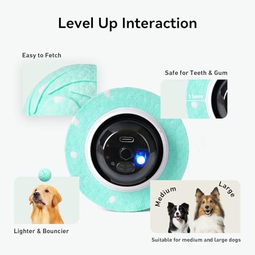 Smart Interactive Dog Toy (Aqua)