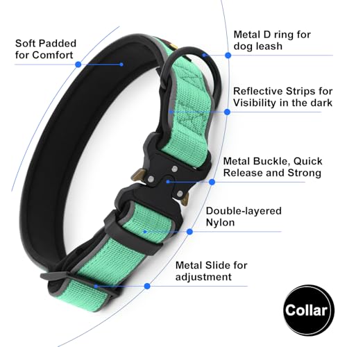Tactical Dog Collar (XL / Teal)