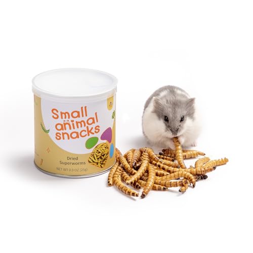 Small Animal Snack & Treats