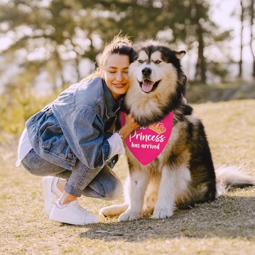 Puppy Bandana 2 Pcs (Sassy)