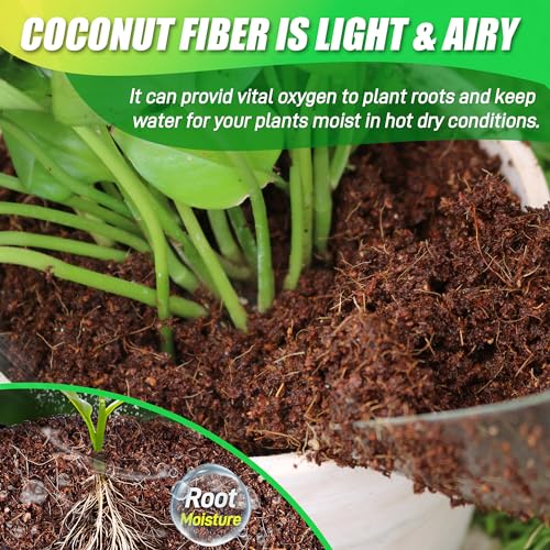 Coco Coir Brick for Plants (6pcs)