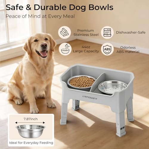 Mess Proof Elevated Dog Bowls (Light Grey / Medium)