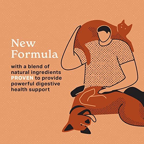 Digestion Superfood Supplement Powder for Dogs & Cats