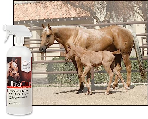 Equine MISTING Horse Conditioner