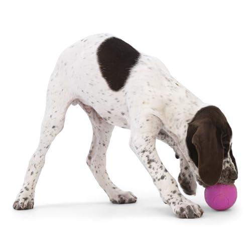 Boundr Ball Dog Fetch Toy (Small (Pack of 2) / Hot Pink/Aqua Blue)