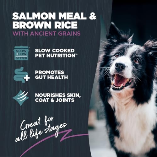 Sensitive Premium Dry Dog Food (Salmon Meal & Brown Rice with Ancient Grains / 10 Pound (Pack of 1))