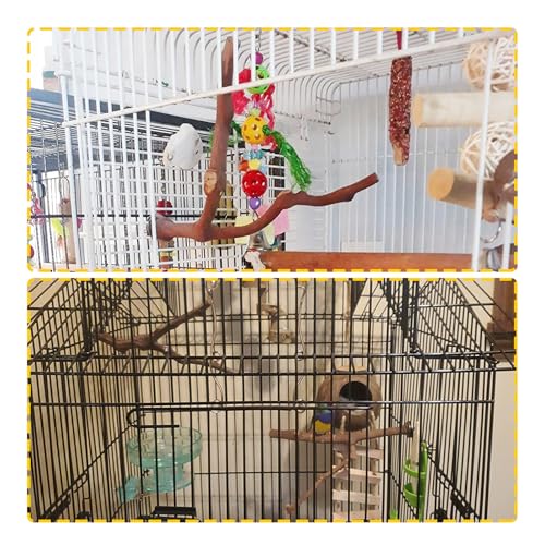 Parrot Perches Natural Birds Stand Wild Grape Stick Grinding Paw Climbing Wood Cage Accessories and Toy for Parakeet