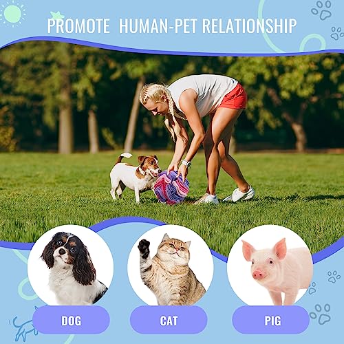 Pet Snuffle Ball (Pink and purple / 10cm)