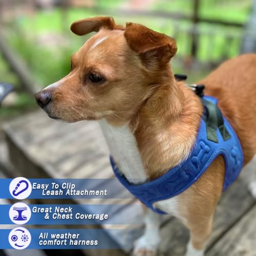 Comfort Fit No Pull Dog Harness (S (Chest 14.5"-17") / Blue)