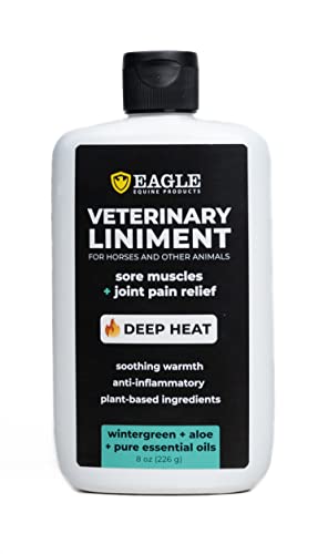 Veterinary Liniment Gel for Horses