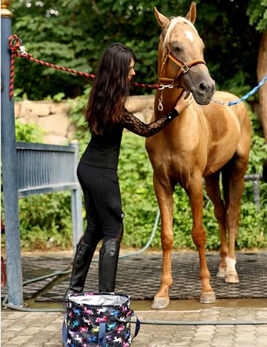 Horse Grooming Kit (Black)