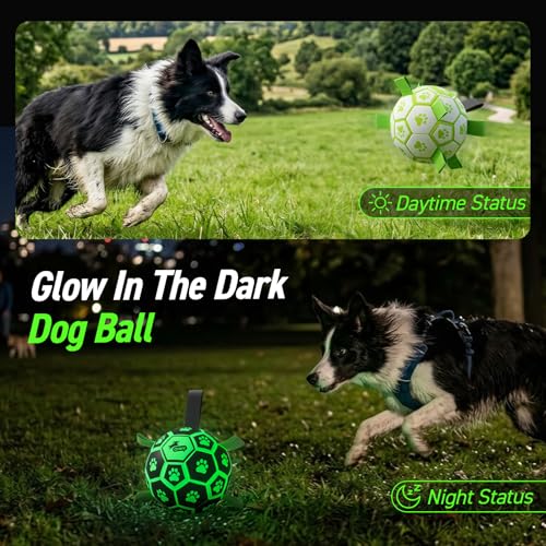 Glow in The Dark Dog Toys (Light Up Ball / 8 Inch)