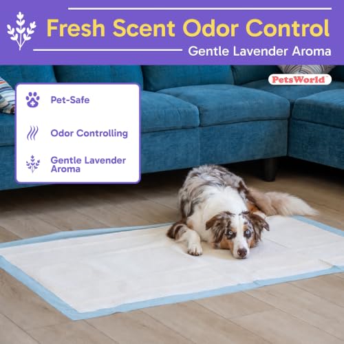 Pee Pads for Dogs 37x54 Fresh Scented (37x54 Fresh Scented / 25 Count)