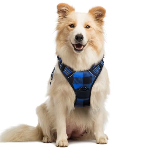 Dog Harness No Pull Medium Sized with 2 Leash Clips (Medium / Blue Plaid)