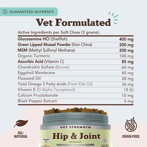Vet Strength Hip & Joint Chews for Senior Dogs (90 Count / Vet Strength Hip and Joint)
