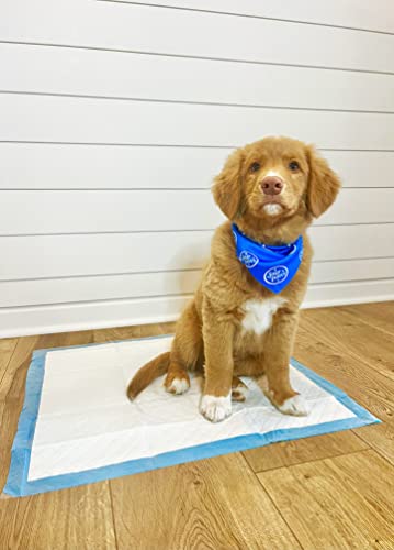 Wee Wee Odor Control with Febreze Freshness Pee Pads for Dogs & Puppies (100 Count)