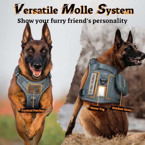 Tactical Dog Harness for Large Dogs (L(Chest:22"-37",Neck:21.1"-30.3",Back:8.3") / Grey)