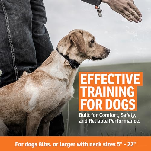 FieldTrainer 425X Remote Trainer (Gun Metal Grey / 1 Dog)
