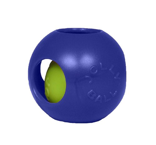 Teaser Ball Interactive Dog Toy (Blue / Small (4.5 in))