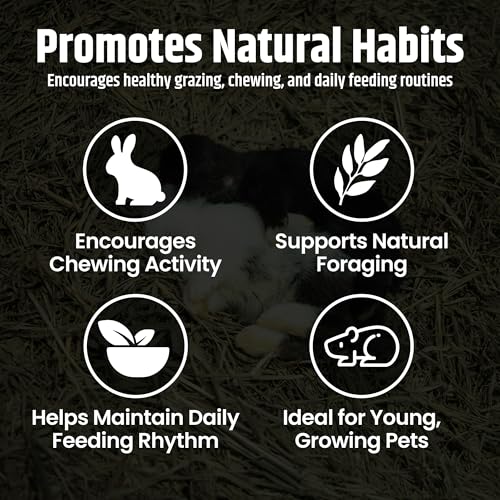 Alfalfa Hay Protein Rich Soft Leaf Food for Young Growing Animals (10 Pound (Pack of 2))
