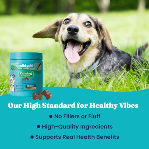 Calming Chews for Dogs with Melatonin for Storms & Travel (120 Count)