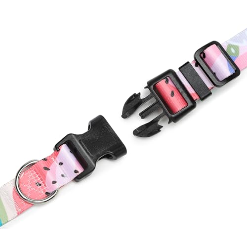 Adjustable Dog Collar (Large / Watermelon)