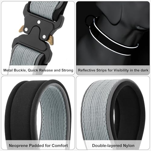 Tactical Dog Collar (S / Grey)