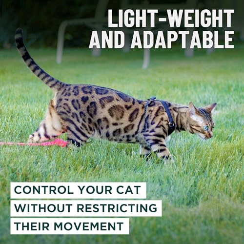 Houdini™ Escape Proof Kitten Harness and Leash (Orange / S)