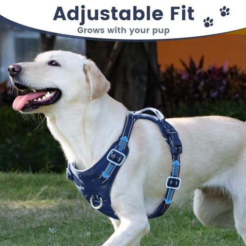 No Pull Dog Harness Front Clip Handle (Prussian Blue / XS(Neck:11.8-16.5",Chest:14.2-19.7"))