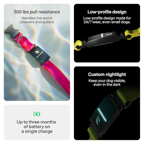 Series 3+ GPS Dog Collar & Tracker (Pink / Large)