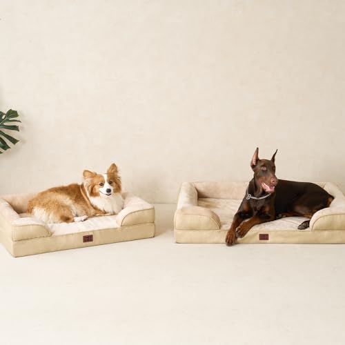 Orthopedic XXL Dog Bed (Graige / 52.0"l X 41.0"w X 8.0"th)