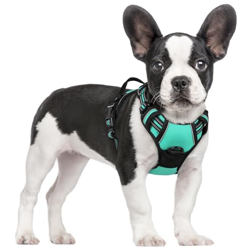 Dog Harness No Pull for Small Dogs with 2 Leash Clips (Small / Turquoise)