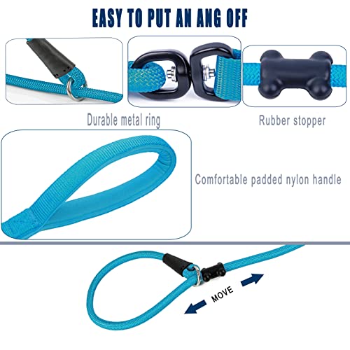 Slip Lead Dog Leash (1/2"×6ft / Blue)