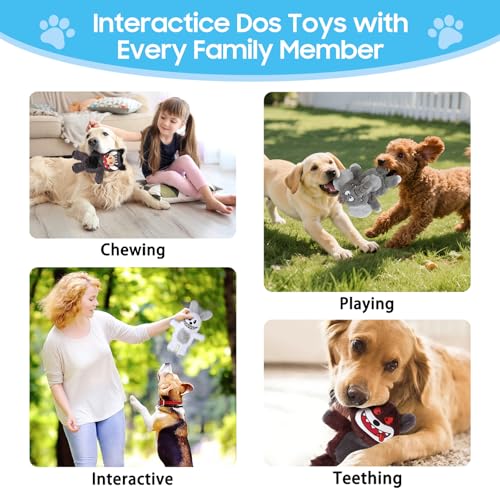 No Stuffing Dog Squeaky Toys (5 Pack)