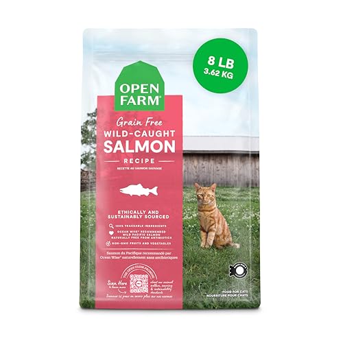 Grain Free Dry Cat Food (8 Pound (Pack of 1))
