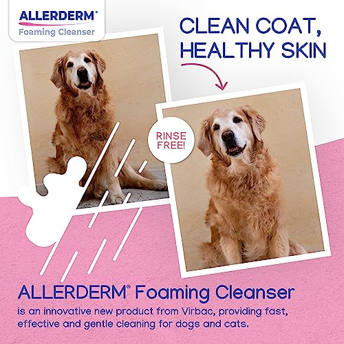 ALLERDERM Foaming Cleanser