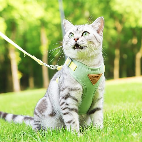 Escape Proof Cat Harness and Leash Set (Green / L)
