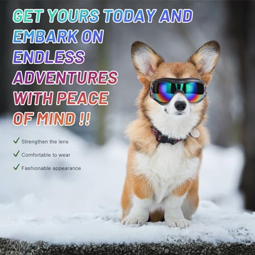Dog Sunglasses Dog Goggles