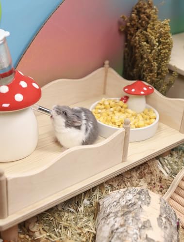 Hamster Snack & Treats Toy