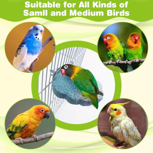 3PCS Bird Beak Grinding Stone Resin Bird Perch Stand Grinding Claw Birds Cage Perch Parrot Climbing Chewing Toys Parakeet Cage Accessories for Budgies Cockatiels Conures